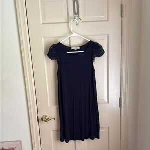 LOFT Navy Blue Lace Sleeve Dress
